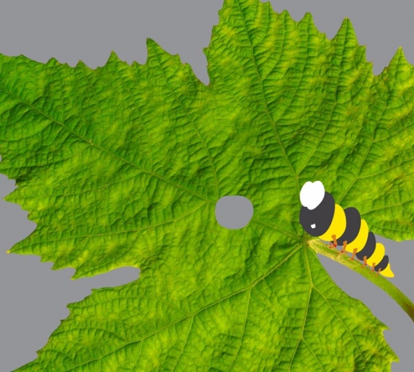 Creation of Leaf me Alone!: Step 1
